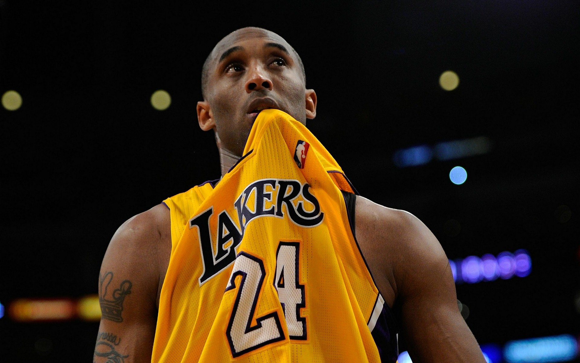 张本智和或 张本智和或